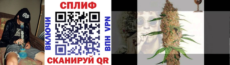 Конопля план Рассказово